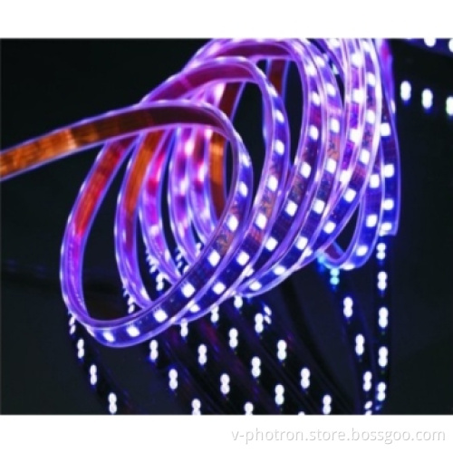 High Intensity 3528SMD LED Flexible Strip Light